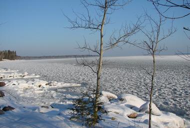 Lake Winnipeg shoreline in winter