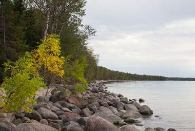 A rocky tree-lined lake shoreline in autumn.